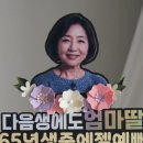 케이크포포