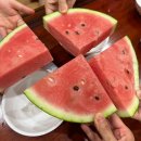 지에스(GS)25 합천충효로점 | 합천반값여행 | 숙소, 맛집, 카페, 관광지 추천 및 반값여행 환급금 후기