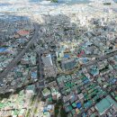 삼라마이다스 이미지