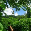 나무모텔 이미지