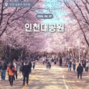 남동문화체육광장(2호) | 인천 남동구 장수동 / 인천대공원 ~ 장수동 은행나무