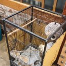 이바돔감자탕(목포점) | 이바돔감자탕 목포점 솔직후기 놀이방있는 감자탕 맛집 전좌석 입식으로 바뀐 최근