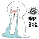 디스크독연구소 이미지