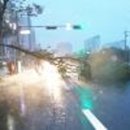 화북주공아파트 (삼양2동방면) | 태풍 '차바' 제주강타...도내 곳곳 피해 눈덩이