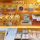 (주)지니소프트 | 일본 삿포로 공항 기념품 쇼핑리스트와 진에어 탑승 후기