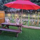 대박펫살롱 이미지