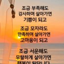 100세의료기 이미지