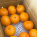 윤의열 농장 이미지