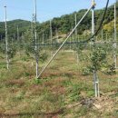 근영농장 이미지