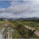 산삼주제관 이미지