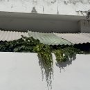 대전 대흥동 그릇 숍피크 리빙샵 라이커블 폴라잇문구점 소품샵 모음 용가마라훠궈 토마토탕 후기
