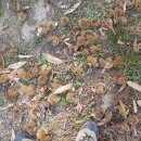 규영농장 | 삿갓봉산행 후기...