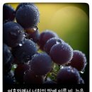 (주)사랑으로 이미지