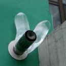 각시방 Daum카페