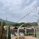 오하브글램핑 | 가평 글램핑 추천 오하브글램핑 웨스턴 3호 내돈내산 후기