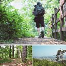 7월 걷기여행길 6선, 아름다운 여름의 정취를 물씬 느낄 수 있는 길 이미지