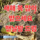 인의적으로 가공한 꿀에는 이미지