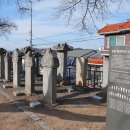 신라 진흥왕 행차길 이미지