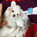 드마리스 부천점 이미지