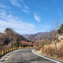 [공지] [여행] 국립산림치유원 문필마을 숙박 산책 프로그램(+해먹) 후기