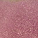 송정대로-19 이미지