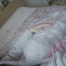 Miss 멍 | 날씨마저 딱 좋은데 나와는 딱 인듯해 너