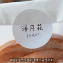 서월화 | 빈티지함과 앤틱함이 공존하는 숙소, 야외자쿠지에서 완성되는 휴식제주 구좌 서월화 ‘달의꽃’ 이용후기