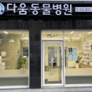 동물병원 다움 이미지