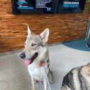 서울종합동물병원방배 이미지