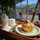 호야애견 이미지