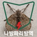 벌레잡는 사람들 홈케어