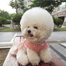 정다운외과의원 이미지