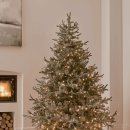 크리스마스 트리 이미지