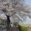 낙동강약국 이미지