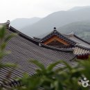 바다목장민박 - 울진군 박실길 12-23 | 바다목장민박