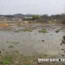 황산윤가네농장