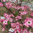 영후농장 이미지