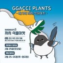 까치플랜츠