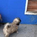소요라이트하우스 | 다합 라이트하우스 스노쿨링 이색체험 사막식사 지키하우스 사람들과 함께