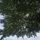 배내대리길 | 파래소 폭포가 가까운 배내골펜션 배내배내펜션