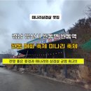 원동미소공인중개사사무소 | 경남 양산 [원동 미나리축제] 갈대지붕 미나리삼겹살!!