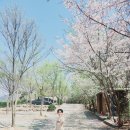 파인힐 빌리지 캠핑장 이미지