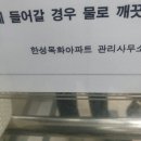 한성목화 이미지