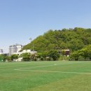 소요생활체육공원 축구장 이미지
