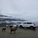 하이츠파크 | 뉴질랜드 남섬 여행 퀸스타운 가볼만한곳 디어파크하이츠 예약 방법 후기 소요시간