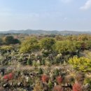 애견동화 이미지