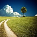 엠티브이11로 이미지