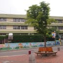 올레길 산림형 1코스 이미지