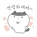 클린 케어(C.L.E.A.N. Care)