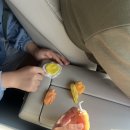 에이원풀빌라&캠핑 이미지